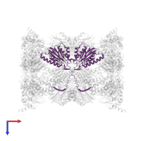 Proteasome subunit beta type-2 in PDB entry 5cz8, assembly 1, top view.