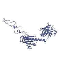 The deposited structure of PDB entry 5d0q contains 2 copies of Pfam domain PF06804 (NlpB/DapX lipoprotein) in Outer membrane protein assembly factor BamC. Showing 1 copy in chain B [auth C].