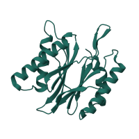 The deposited structure of PDB entry 5d0v contains 2 copies of CATH domain 3.60.20.10 (Glutamine Phosphoribosylpyrophosphate, subunit 1, domain 1) in Proteasome subunit beta type-4. Showing 1 copy in chain J.