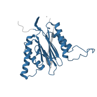 The deposited structure of PDB entry 5d0v contains 2 copies of Pfam domain PF00227 (Proteasome subunit) in Proteasome subunit beta type-6. Showing 1 copy in chain L.