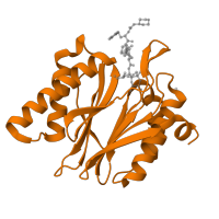 The deposited structure of PDB entry 5d0v contains 2 copies of CATH domain 3.60.20.10 (Glutamine Phosphoribosylpyrophosphate, subunit 1, domain 1) in Proteasome subunit beta type-1. Showing 1 copy in chain N.