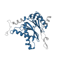 The deposited structure of PDB entry 5d0v contains 2 copies of Pfam domain PF00227 (Proteasome subunit) in Proteasome subunit alpha type-2. Showing 1 copy in chain A.