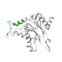 The deposited structure of PDB entry 5d0v contains 2 copies of Pfam domain PF10584 (Proteasome subunit A N-terminal signature) in Proteasome subunit alpha type-2. Showing 1 copy in chain A.