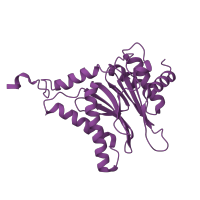 The deposited structure of PDB entry 5d0v contains 2 copies of CATH domain 3.60.20.10 (Glutamine Phosphoribosylpyrophosphate, subunit 1, domain 1) in Proteasome subunit alpha type-3. Showing 1 copy in chain B.