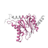 The deposited structure of PDB entry 5d0v contains 2 copies of Pfam domain PF00227 (Proteasome subunit) in Proteasome subunit alpha type-4. Showing 1 copy in chain Q.