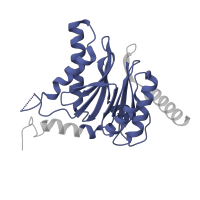 The deposited structure of PDB entry 5d0v contains 2 copies of Pfam domain PF00227 (Proteasome subunit) in Proteasome subunit alpha type-5. Showing 1 copy in chain R.