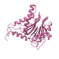 The deposited structure of PDB entry 5d0v contains 2 copies of CATH domain 3.60.20.10 (Glutamine Phosphoribosylpyrophosphate, subunit 1, domain 1) in Proteasome subunit alpha type-6. Showing 1 copy in chain E.