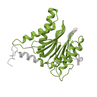 The deposited structure of PDB entry 5d0v contains 2 copies of Pfam domain PF00227 (Proteasome subunit) in Proteasome subunit alpha type-6. Showing 1 copy in chain S.