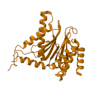 The deposited structure of PDB entry 5d0v contains 2 copies of CATH domain 3.60.20.10 (Glutamine Phosphoribosylpyrophosphate, subunit 1, domain 1) in Probable proteasome subunit alpha type-7. Showing 1 copy in chain F.