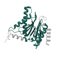 The deposited structure of PDB entry 5d0v contains 2 copies of Pfam domain PF00227 (Proteasome subunit) in Probable proteasome subunit alpha type-7. Showing 1 copy in chain T.