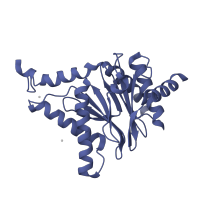 The deposited structure of PDB entry 5d0v contains 2 copies of CATH domain 3.60.20.10 (Glutamine Phosphoribosylpyrophosphate, subunit 1, domain 1) in Proteasome subunit alpha type-1. Showing 1 copy in chain G.