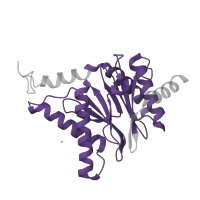 The deposited structure of PDB entry 5d0v contains 2 copies of Pfam domain PF00227 (Proteasome subunit) in Proteasome subunit alpha type-1. Showing 1 copy in chain U.