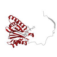 The deposited structure of PDB entry 5d0v contains 2 copies of Pfam domain PF00227 (Proteasome subunit) in Proteasome subunit beta type-2. Showing 1 copy in chain V.