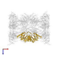 Proteasome subunit beta type-5 in PDB entry 5d0v, assembly 1, top view.