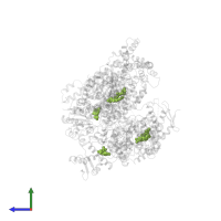 ADENOSINE-5'-DIPHOSPHATE in PDB entry 5d4w, assembly 1, side view.