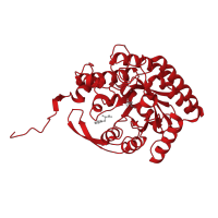 The deposited structure of PDB entry 5dcb contains 4 copies of CATH domain 3.20.20.70 (TIM Barrel) in Phospho-2-dehydro-3-deoxyheptonate aldolase. Showing 1 copy in chain C.