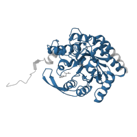 The deposited structure of PDB entry 5dcb contains 4 copies of Pfam domain PF00793 (DAHP synthetase I family) in Phospho-2-dehydro-3-deoxyheptonate aldolase. Showing 1 copy in chain C.