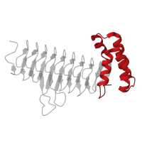 The deposited structure of PDB entry 5dem contains 6 copies of CATH domain 1.20.1180.10 (Udp N-acetylglucosamine O-acyltransferase; Domain 2) in Acyl-[acyl-carrier-protein]--UDP-N-acetylglucosamine O-acyltransferase. Showing 1 copy in chain A.