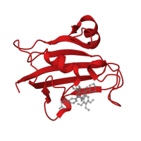 The deposited structure of PDB entry 5diu contains 1 copy of CATH domain 3.10.50.40 (Chitinase A; domain 3) in Peptidyl-prolyl cis-trans isomerase FKBP5. Showing 1 copy in chain A.