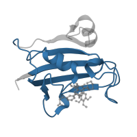 The deposited structure of PDB entry 5diu contains 1 copy of Pfam domain PF00254 (FKBP-type peptidyl-prolyl cis-trans isomerase) in Peptidyl-prolyl cis-trans isomerase FKBP5. Showing 1 copy in chain A.