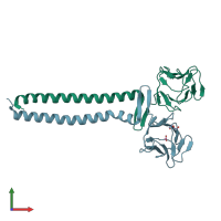 PDB entry 5djo coloured by chain, front view.