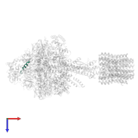 Chain A in PDB entry 5dn6, assembly 1, top view.