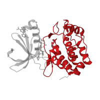 The deposited structure of PDB entry 5dos contains 1 copy of CATH domain 1.10.510.10 (Transferase(Phosphotransferase); domain 1) in Aurora kinase A. Showing 1 copy in chain A.