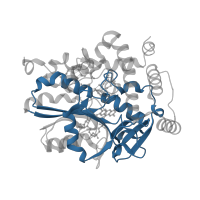 The deposited structure of PDB entry 5dqr contains 6 copies of Pfam domain PF04432 (Coenzyme F420 hydrogenase/dehydrogenase, beta subunit C terminus) in 7-hydroxymethyl chlorophyll a reductase, chloroplastic. Showing 1 copy in chain C.