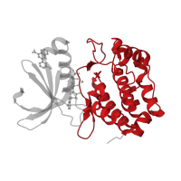 The deposited structure of PDB entry 5dr2 contains 1 copy of CATH domain 1.10.510.10 (Transferase(Phosphotransferase); domain 1) in Aurora kinase A. Showing 1 copy in chain A.