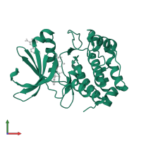 Aurora kinase A in PDB entry 5dr2, assembly 1, front view.