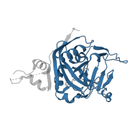 The deposited structure of PDB entry 5dsy contains 4 copies of Pfam domain PF00644 (Poly(ADP-ribose) polymerase catalytic domain) in Poly [ADP-ribose] polymerase 2. Showing 1 copy in chain B.