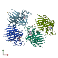 PDB entry 5dtk coloured by chain, front view.