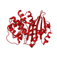 The deposited structure of PDB entry 5dts contains 4 copies of CATH domain 3.40.710.10 (Beta-lactamase) in Beta-lactamase. Showing 1 copy in chain A.