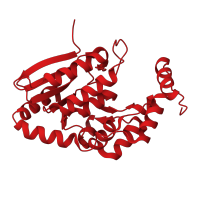 The deposited structure of PDB entry 5dtw contains 6 copies of CATH domain 3.90.226.10 (2-enoyl-CoA Hydratase; Chain A, domain 1) in Probable enoyl-CoA hydratase EchA6. Showing 1 copy in chain C.