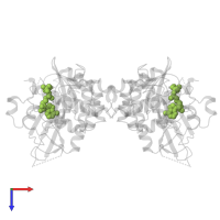 PHOSPHOAMINOPHOSPHONIC ACID-ADENYLATE ESTER in PDB entry 5e3t, assembly 1, top view.