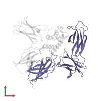 Interleukin-13 receptor subunit alpha-1 in PDB entry 5e4e, assembly 1, front view.