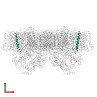 Photosystem II reaction center protein J in PDB entry 5e79, assembly 1, front view.