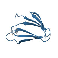 The deposited structure of PDB entry 5eez contains 22 copies of Pfam domain PF02081 (Tryptophan RNA-binding attenuator protein) in Transcription attenuation protein MtrB. Showing 1 copy in chain L.