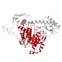 The deposited structure of PDB entry 5efs contains 1 copy of CATH domain 3.40.640.10 (Aspartate Aminotransferase; domain 2) in Kynurenine/alpha-aminoadipate aminotransferase, mitochondrial. Showing 1 copy in chain A.