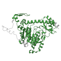 The deposited structure of PDB entry 5efs contains 1 copy of Pfam domain PF00155 (Aminotransferase class I and II) in Kynurenine/alpha-aminoadipate aminotransferase, mitochondrial. Showing 1 copy in chain A.