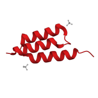 The deposited structure of PDB entry 5efw contains 2 copies of CATH domain 1.20.5.420 (Single alpha-helices involved in coiled-coils or other helix-helix interfaces) in Z-dark, a small protein based on the Z domain affibody. Showing 1 copy in chain B.