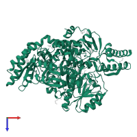 Ornithine aminotransferase in PDB entry 5eqc, assembly 1, top view.