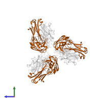 Immunoglobulin kappa constant in PDB entry 5esz, assembly 2, side view.