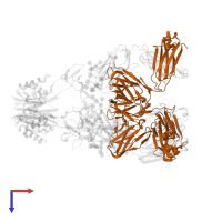 Immunoglobulin kappa constant in PDB entry 5esz, assembly 2, top view.