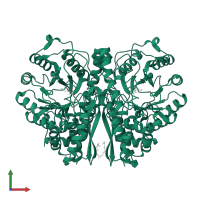 Gamma-enolase in PDB entry 5eu9, assembly 2, front view.