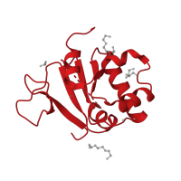 The deposited structure of PDB entry 5euu contains 1 copy of CATH domain 3.30.750.24 (Transcription Regulator spoIIAA) in Prestin. Showing 1 copy in chain A.