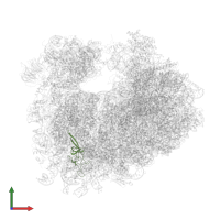 Small ribosomal subunit protein uS17A in PDB entry 5fcj, assembly 1, front view.