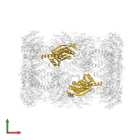 Proteasome subunit beta type-5 in PDB entry 5fg7, assembly 1, front view.
