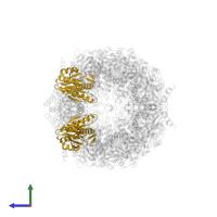 Proteasome subunit beta type-5 in PDB entry 5fg7, assembly 1, side view.