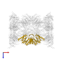 Proteasome subunit beta type-5 in PDB entry 5fg7, assembly 1, top view.